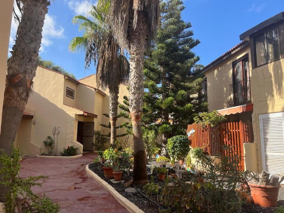 Casa Cactus Paraiso Parque Holandes Exterior photo